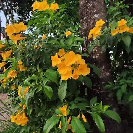 Montra Guesthouse Ranong Exterior foto